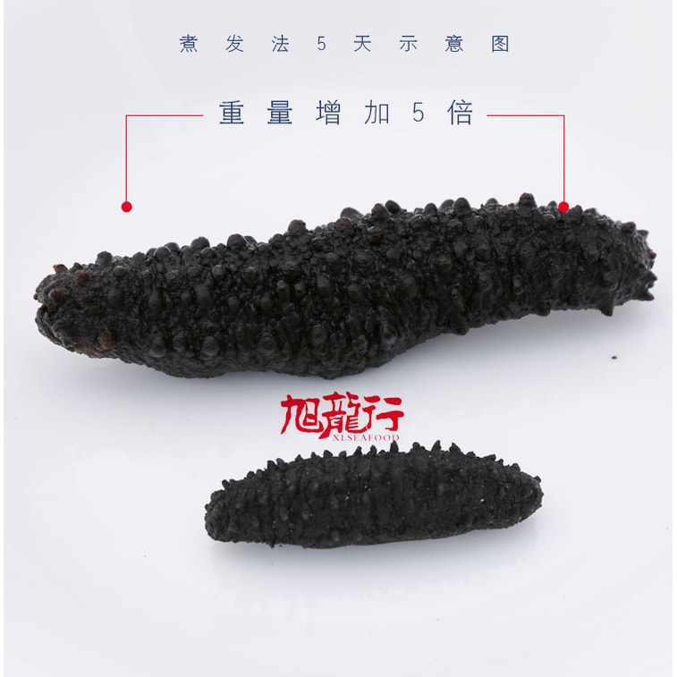 Sun Dried Wild Caught Arctic Sea Cucumber#70 AAAA Large 227g 4