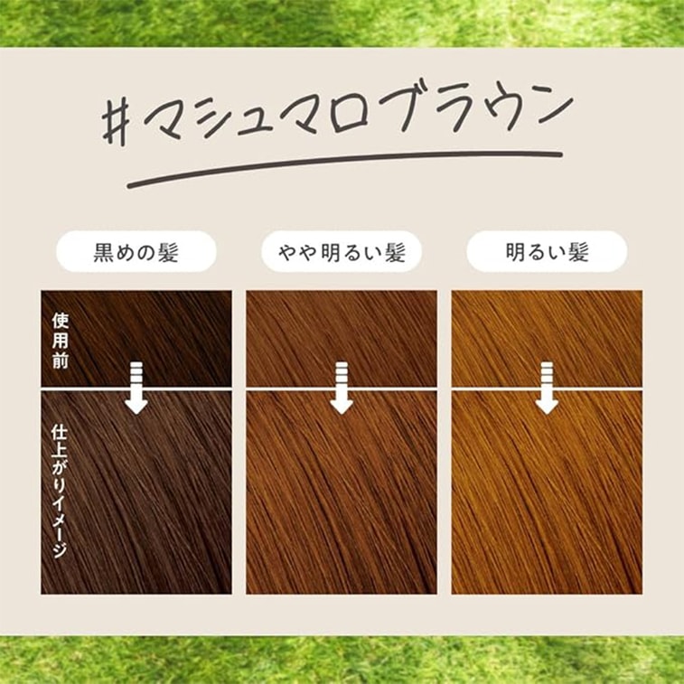【Expédition directe du Japon】 Kao Liese Mousse Colorante Cheveux Brun Marshmallow 115ml 3