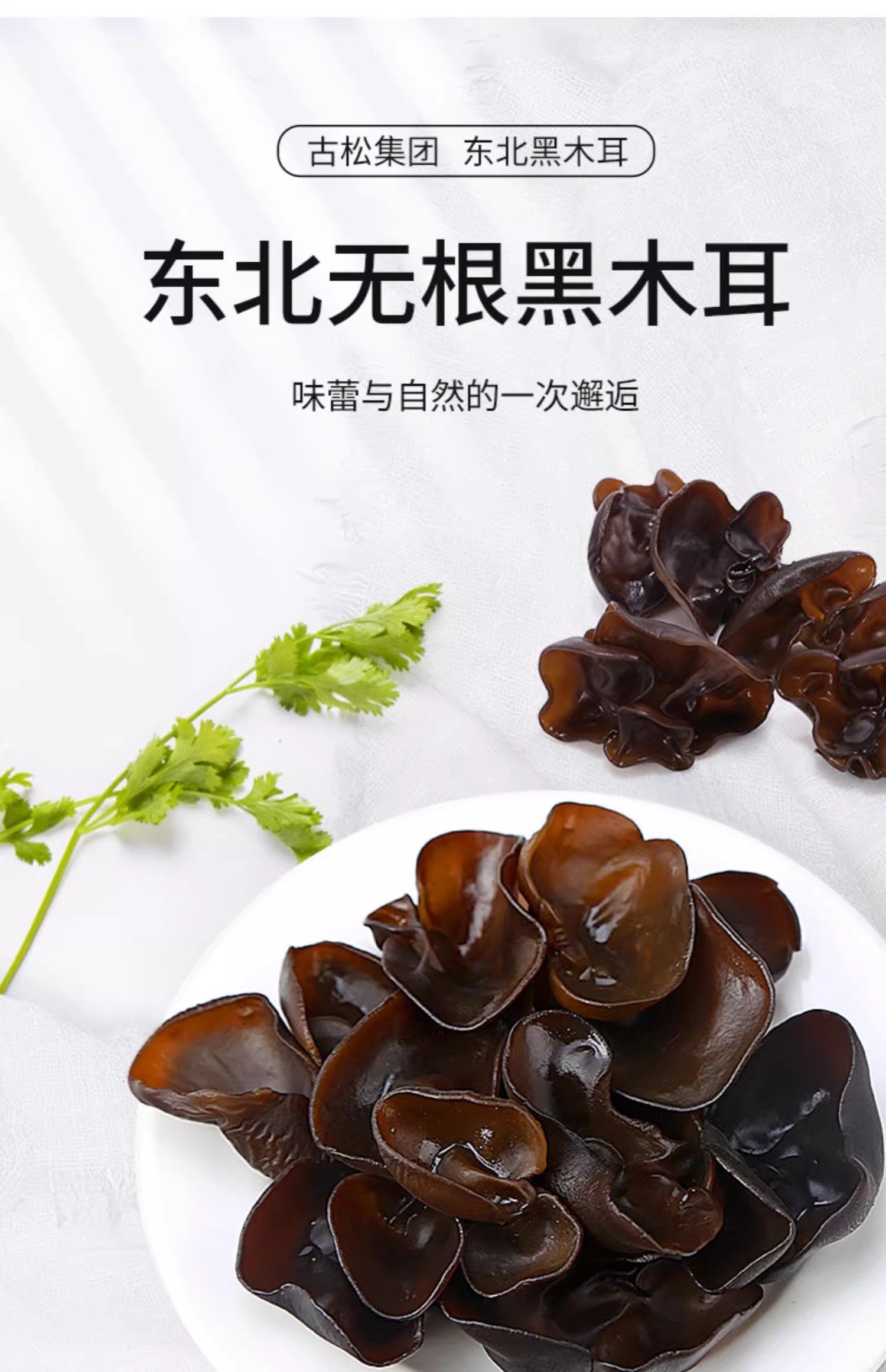 古松 头茬东北长白山无根黑木耳50g 【真正净含量】肉厚无根无增重木耳菌菇 秋木耳爽脆凉拌菜火锅煲汤螺狮粉火锅食材【朵朵精选12倍超高泡发率】