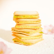 Matcha Chocolate Langue De Chat Sandwich Cookies -15 Pieces, 4.76oz [Dessert Gift Set]