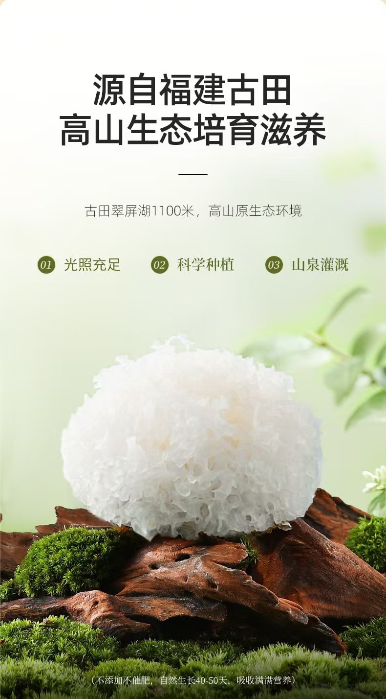 杞里香 本草银耳 黄金银耳片 55克 快速出胶 黄金大片 低温破壁技术 开学大促