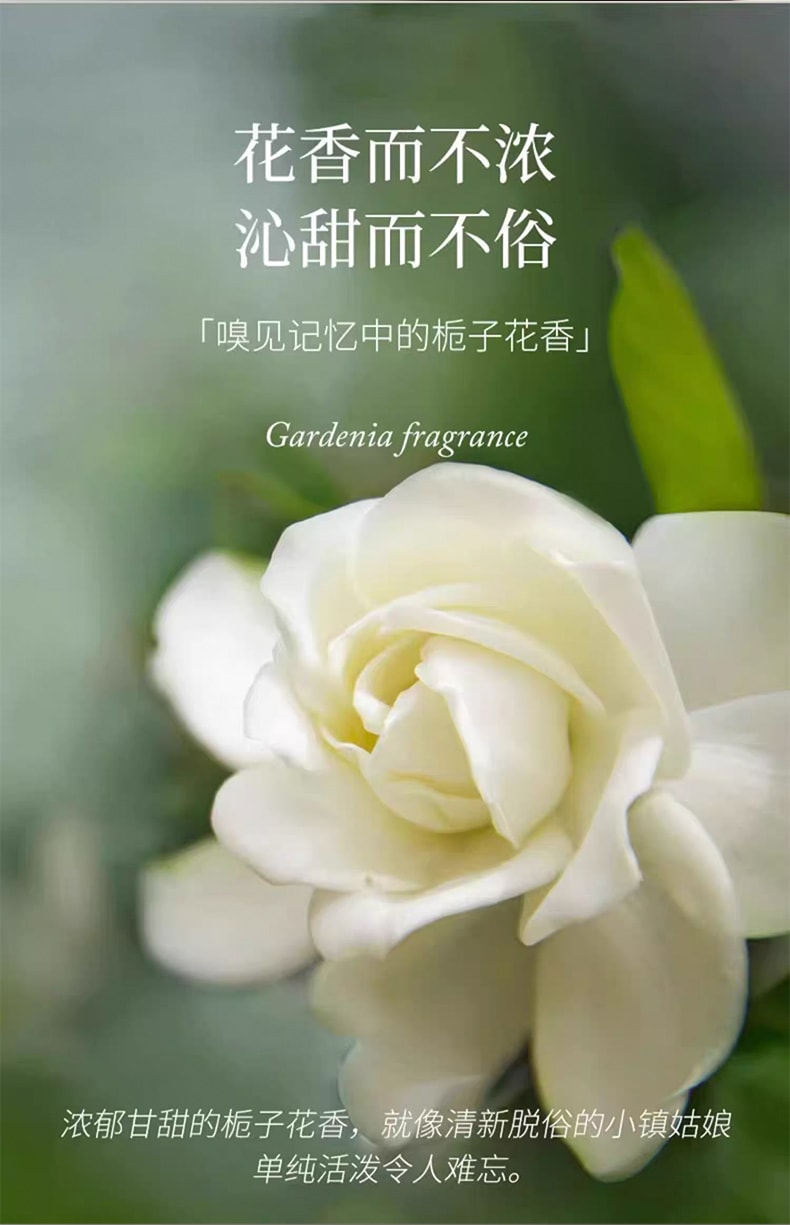 菓凱 【梔子花香】TOUR系列 車載香薰掛件 10ml【自然純粹 隨香啟程 花香而不濃 沁甜而不俗 嗅見記憶中的梔子花香】