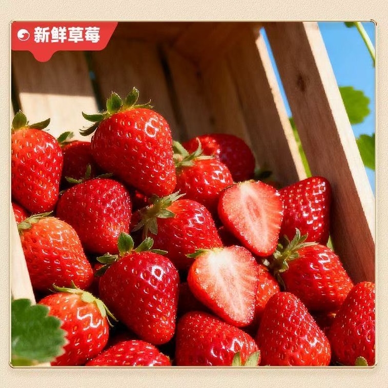 ビビザン フリーズドライ ストロベリーフルーツスナック 38g*1袋 4