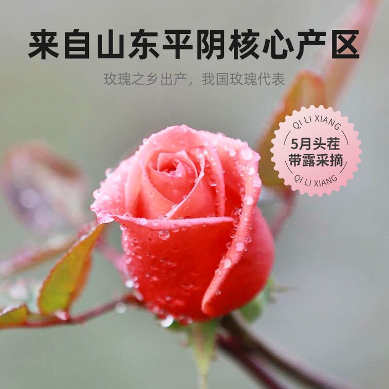 杞里香 玫瑰花茶 50g 点缀燕窝 点缀鸡尾酒【可搭配去痘印 养颜舒缓 美白美容女神茶】滋补养生茶 养颜茶 疏肝理气 女性内调 无硫玫瑰 可搭配雪蜜 红枣 枸杞冲泡 7