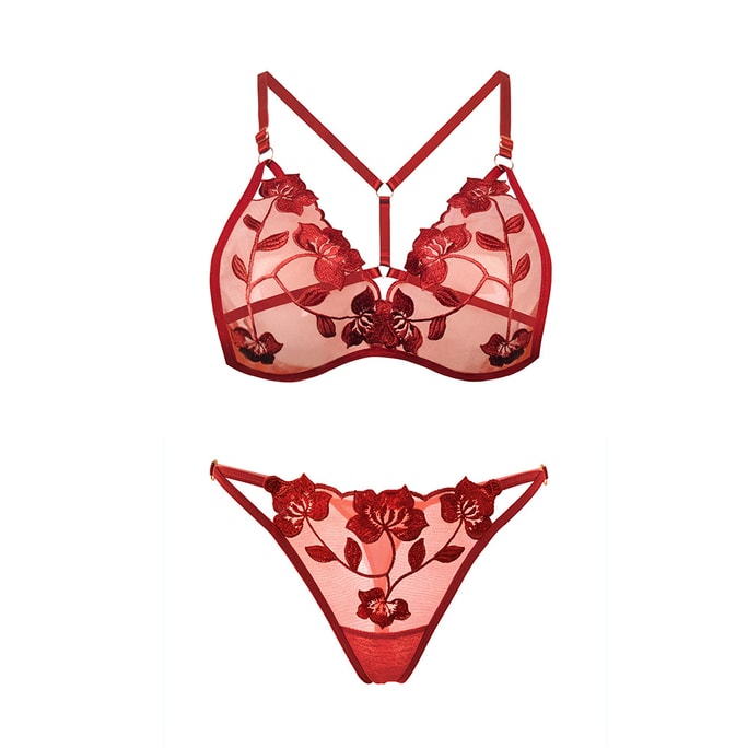 Fun Lingerie Lace Embroidery Ultra-thin Bra Set Wine Red One Size