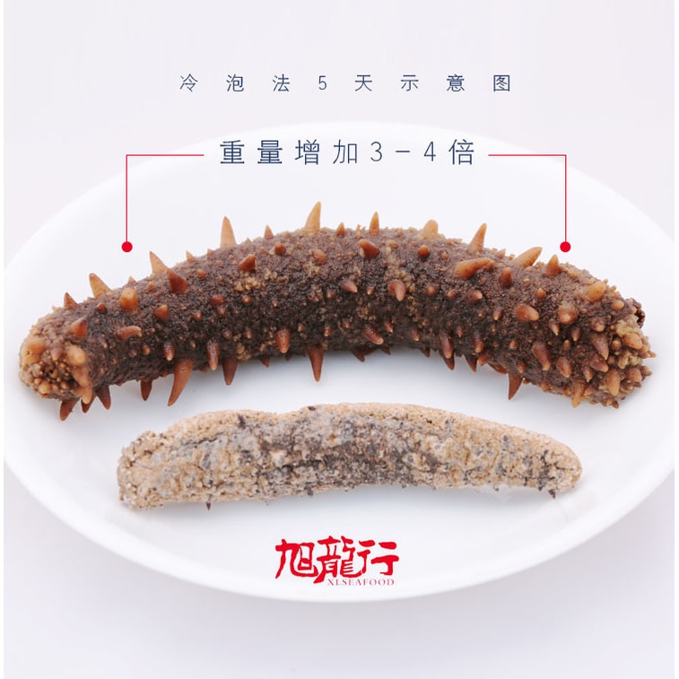 美國旭龍行 野生淡乾海參 阿拉斯加紅參 常規裝 特級8年參 中號0.5磅 227g 7