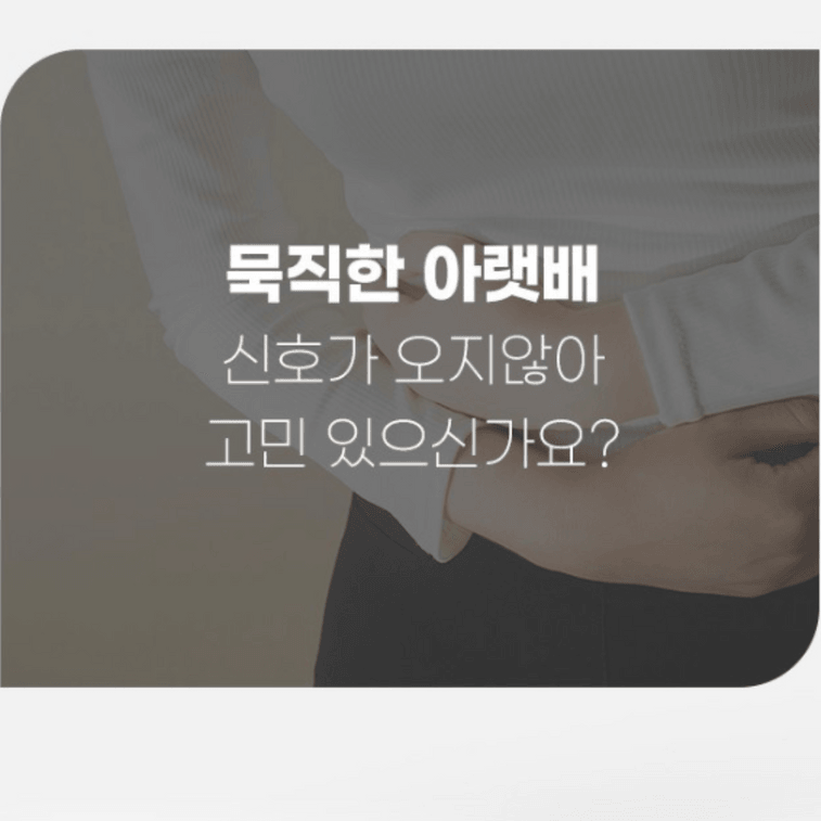 셀트리온 코리아 이너랩 S-라인 프로바이오틱스 (105g x 30팩) 8