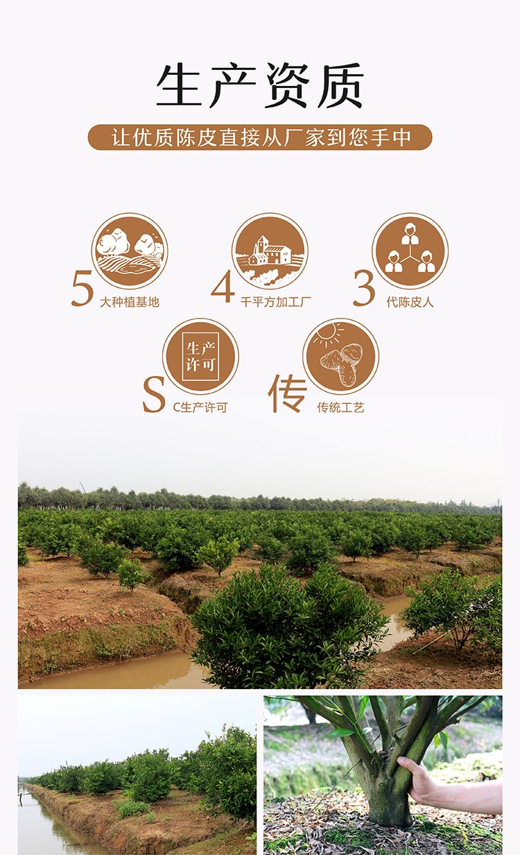 5 Years Chenpi (Aged Tangerine Peel) Tea Caffeine Free Sugar Free Soup Base Hot Pot Companion Gift 170g