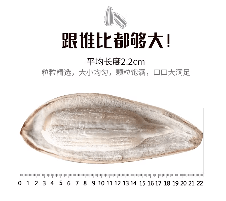 Five-flavor sunflower seed combo: Original, Mixed, Caramel, Five-Spice, and Sea Salt, one pack each, 5 packs totaling 638g