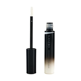 디자인 컬러 리퀴드 컨실러 SPF12 PA++ 05 아이시 5.6g