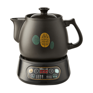 Medicine Brewing Pot Electric Kettle with Keep Warm Setting 118oz JYH-B40Q2