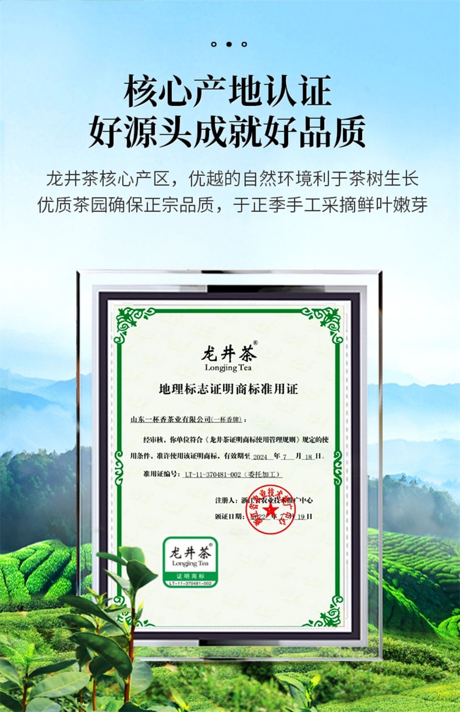 【中国直邮】 一杯香 新茶龙井香明前茶叶绿茶春茶 250g/瓶