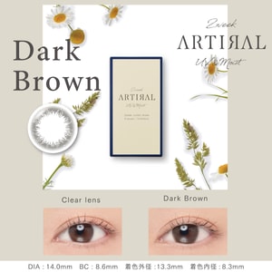 【日本直邮】Artiral UVM 双周抛美瞳 抗UV 6片 Dark Brown 自然灰棕(灰色系 棕色系）着色直径13.3mm 预定3-5天日本直发 度数 -6.00(600)