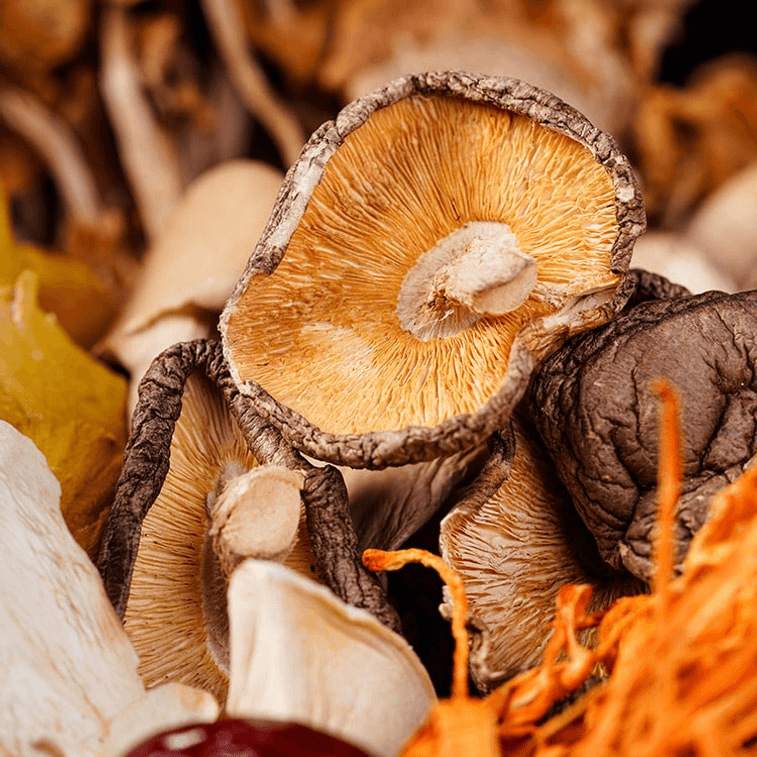 菌香传奇 山珍十味菌汤包 云南特产 滋补鲜汤 炖鸡煲汤 4-5人食 菌菇松茸食材干货 8