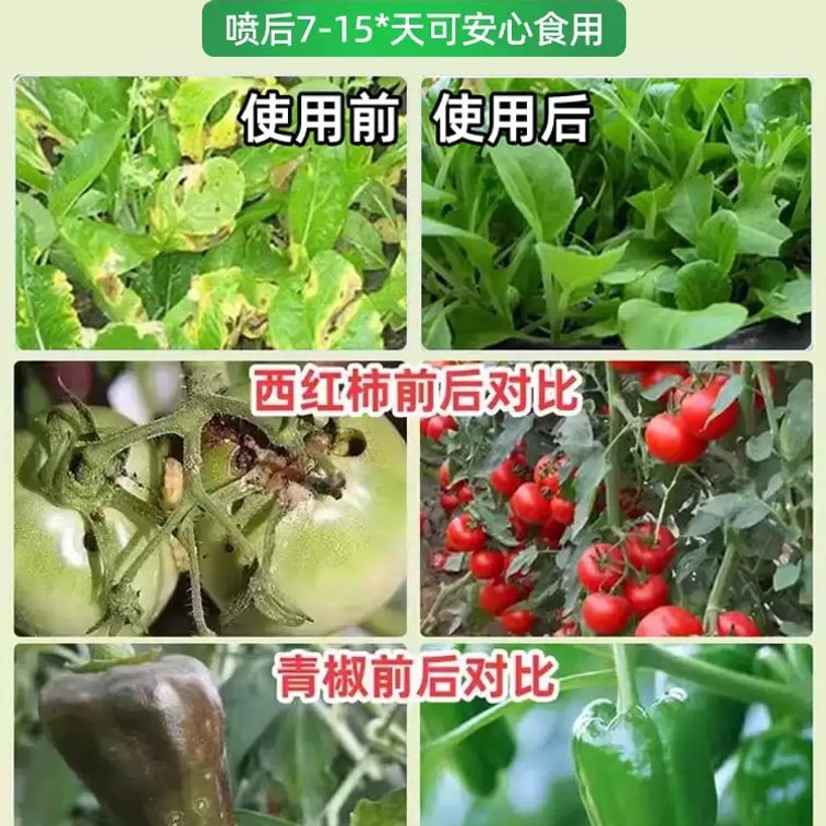 [중국 직배송] 자오지에 채소용 살충제, 진딧물 및 채소 해충 구제제, 무독성, 정원용 살충제, 개미 구제제, 500ml 4