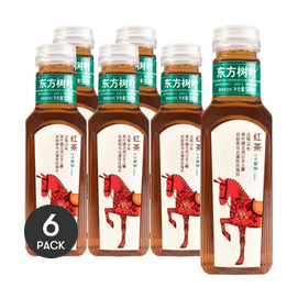 Eastern Leaves Black Tea 500ml*6【Value Pack】