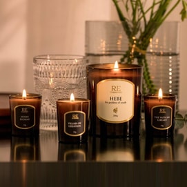 RE CLASSIFIED Scented Candle, Vatican Papal Library Scent, Fresh Light Fragrance Indoor Aromatherapy Candle, 35g