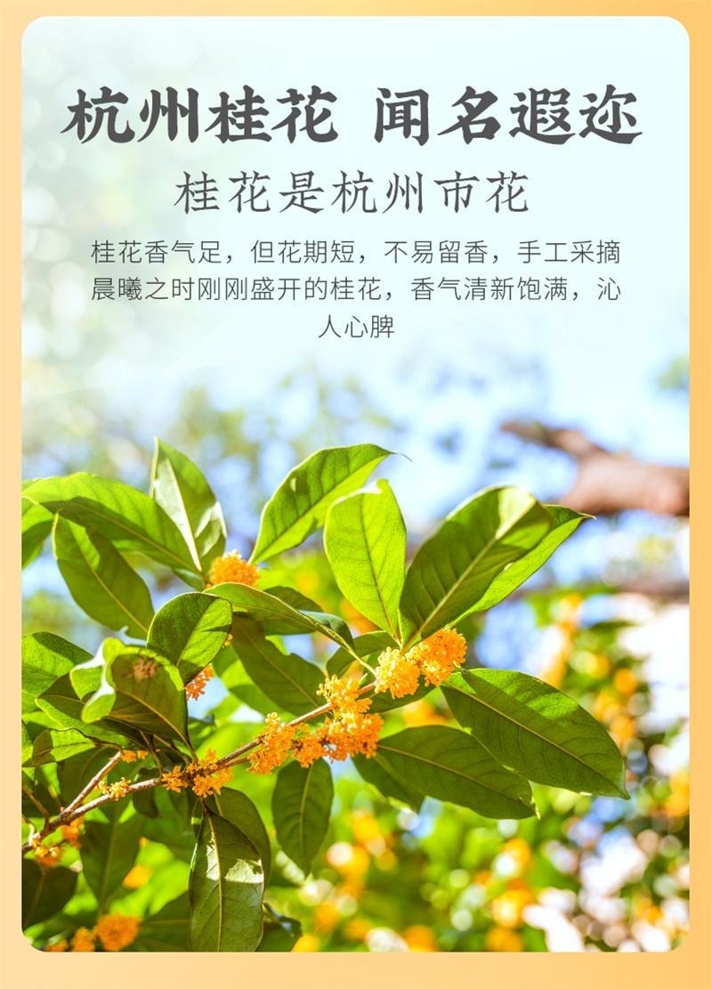 【中国直邮】 狮峰茶叶 桂花红茶九曲红梅茶叶杭州特产正宗龙井茶原产地优选 150g/盒
