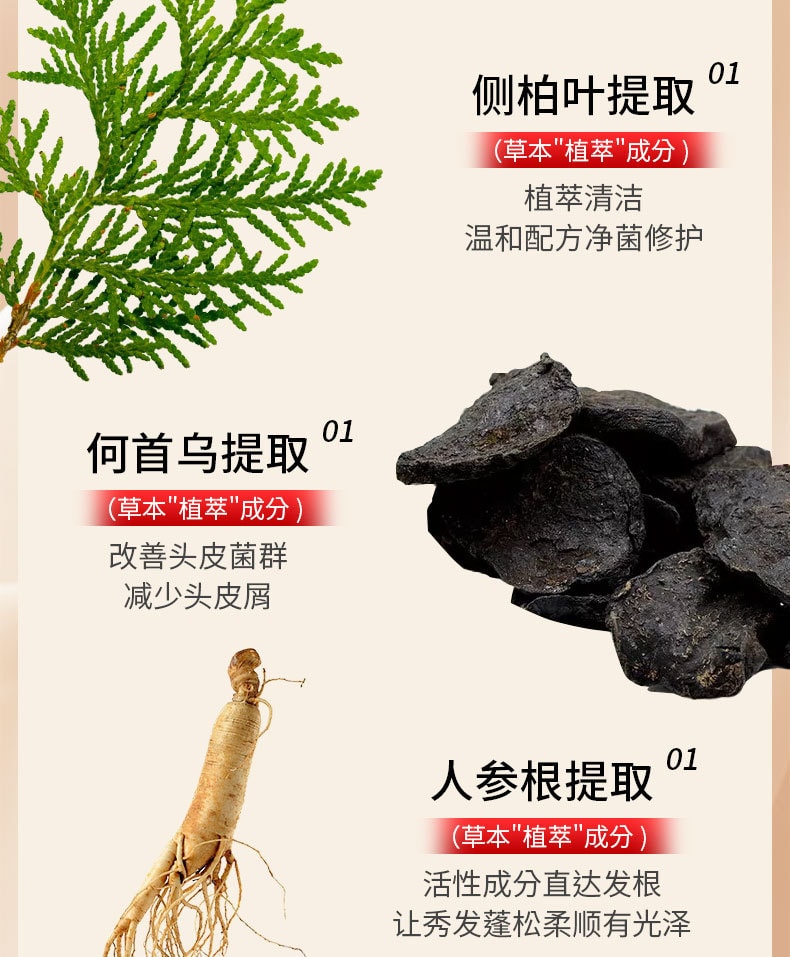 南京同仁堂 側柏葉何首烏植物洗髮水生薑去屑止癢控油防掉脫純草本增密髮 帶走油脂和頭屑,洗完頭皮清爽不癢,髮絲蓬鬆順滑,自帶健康光澤 400ml/瓶