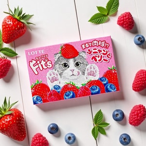 Fit'S Gum Blueberry Strawberry Flavor 12 Pieces