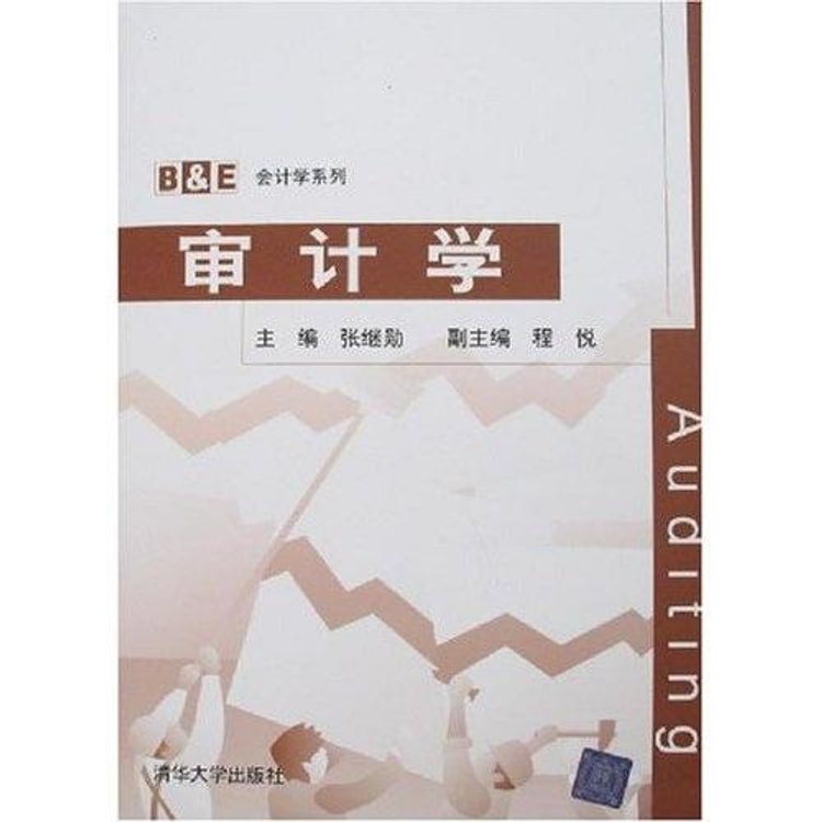 会计学系列：审计学- Yami.com