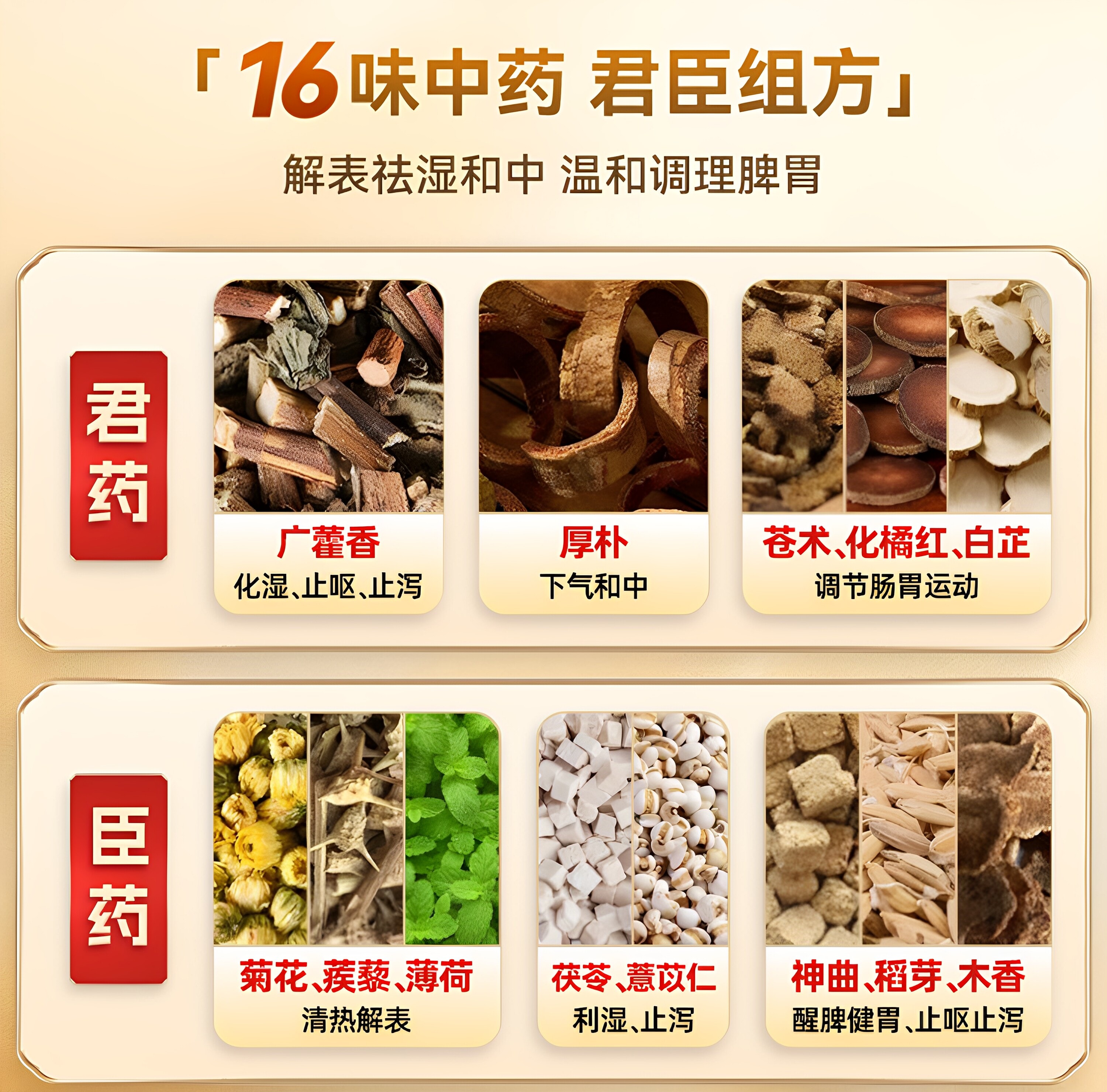 【中國直郵】 王老吉 保方口服液 腸胃不適拉肚子祛除濕10ml*10支/盒