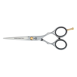Hair Scissors (Professional Hairdressing Scissors for a Sharp and Precise Cut), Premium, Silver, 5.5 Inch