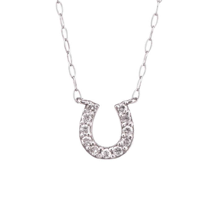 MALVACEAE||말굽 모양 다이아몬드 펜던트 목걸이 PtPlatinum||40cm