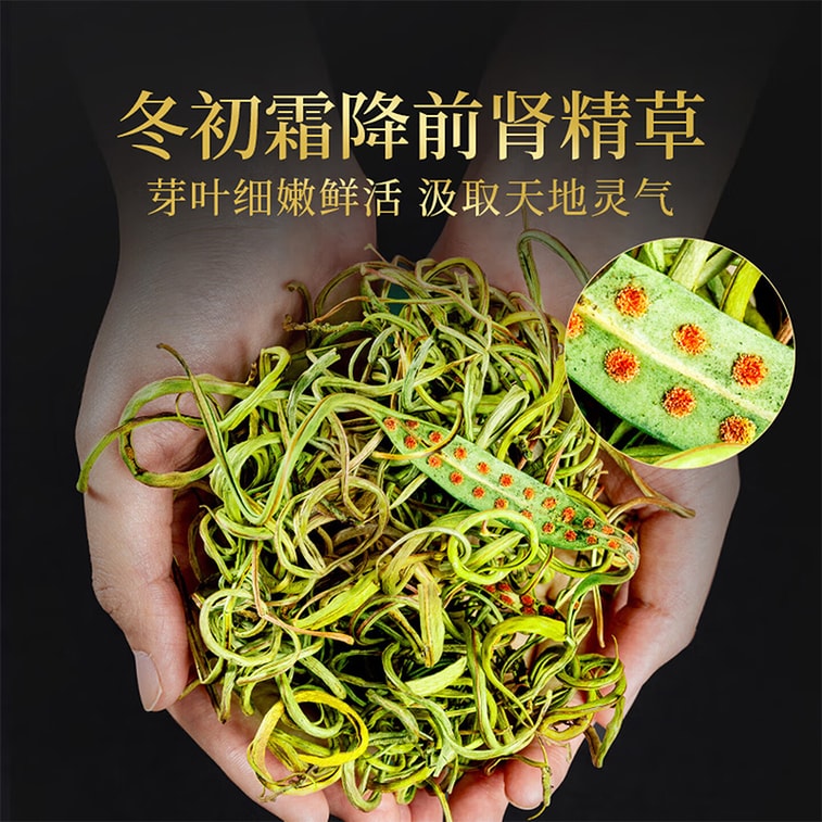 Kidney Essence Herb Tea 50g – Premium Male Vitality Supplement, Changbai Mountain Kidney-Nourishing Herbal Tea, Fresh Seasonal Harvest Rich in Spores, One Cup Daily Restores Male Vitality 3