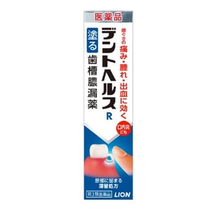 LION 치은염 치주염 구강궤양 구취 제거 바르는 젤 20g