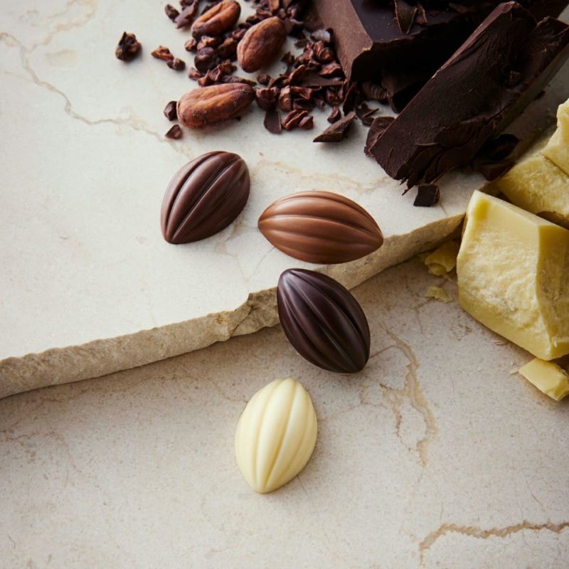 日本 摩洛索夫 2026年情人节 期间限定 缤纷多味巧克力分享装礼盒 14枚装