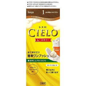 【日本直郵】 日本 HOYU 宣若染髮膏 1份 植物純泡泡染髮霜