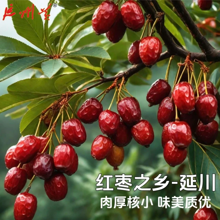 延安黄 【店庆大促】脆枣香酥脆枣无核酥脆红枣零食150克*1袋 3