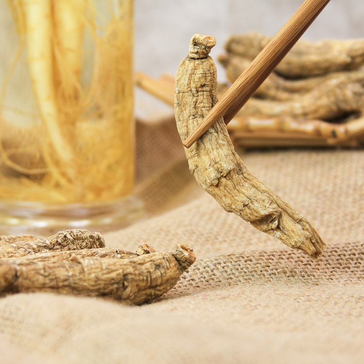 HSU'S GINSENG Hsu's Ginseng Industry、米国 - 特大アメリカ人参
