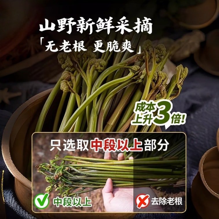 Spicy Crisp Ferns Chopped Chili Sauce Hunan Flavor Pickled Vegetable 0.52lb 4