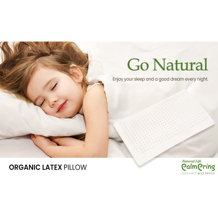 Organic Latex Pillow - Organic Natural Foam Cotton Cover Queen Large Size 4
