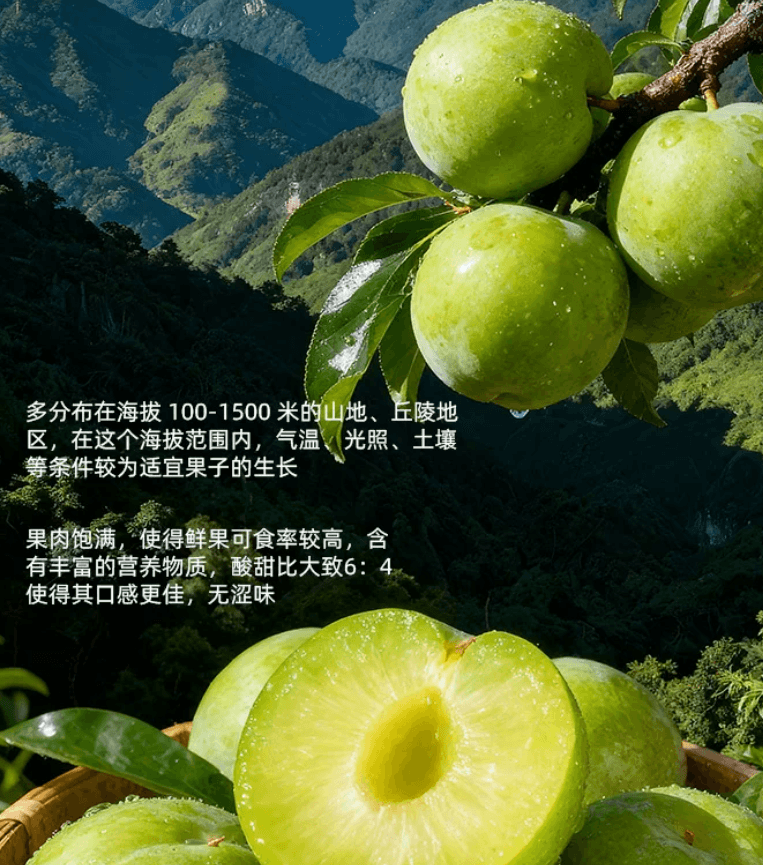 溜溜梅 厚清梅條無核話梅酸梅子乾休閒零食辦公室小吃80g*1袋