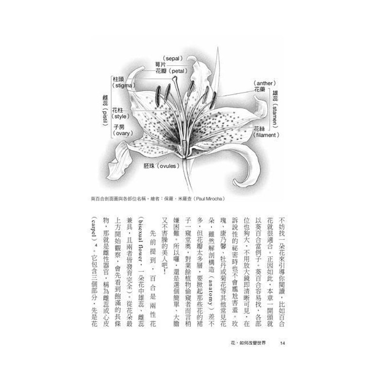 繁體 花 如何改變世界 穿越科學 商業 歷史與文化 探索花與人類的不思議共生史 Yamibuy Com 繁體 花 如何改變世界 穿越科學 商業 歷史與文化 探索花與人類的不思議共生史 Yamibuy Com