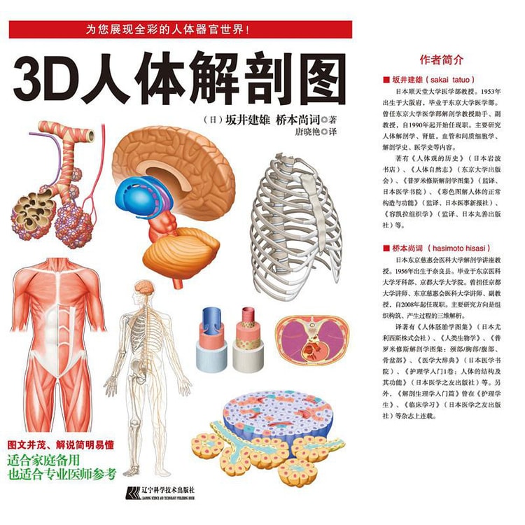 3D人体解剖图- Yamibuy.com