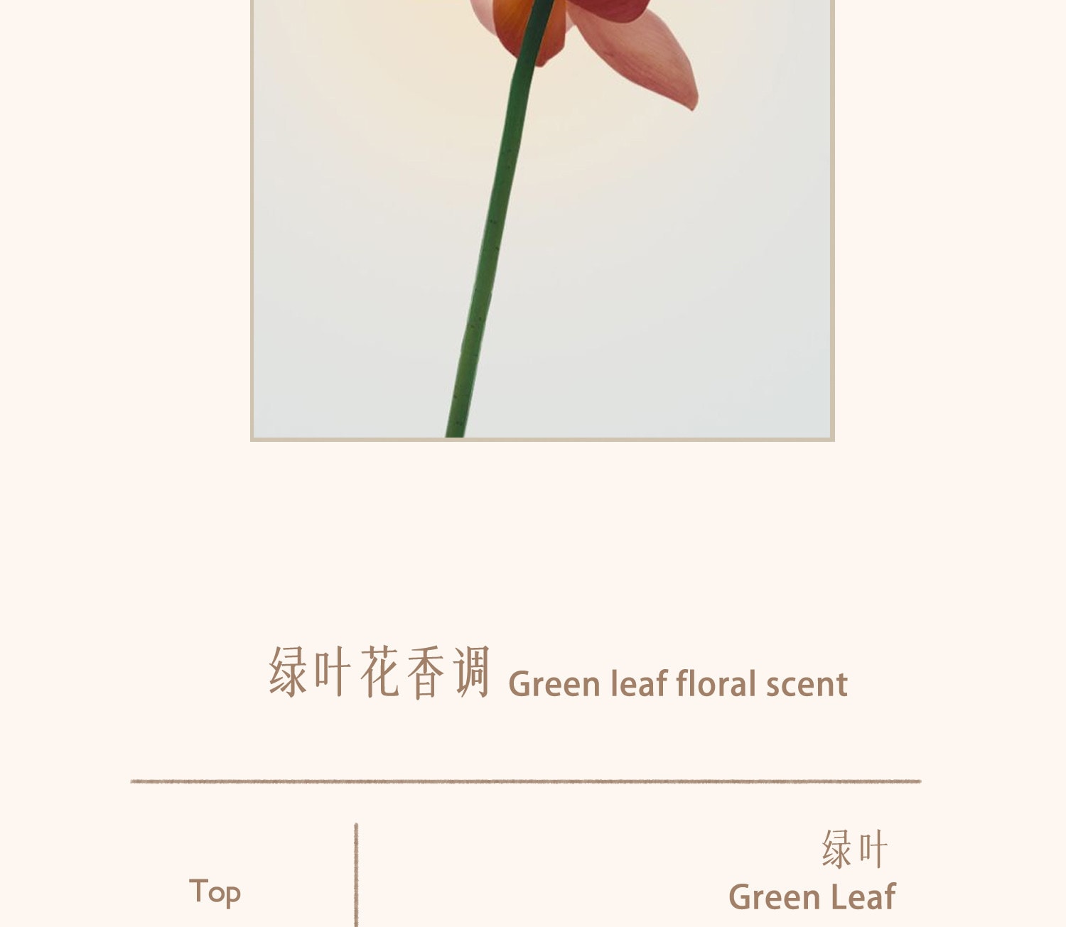 【中國直郵】 故宮淘寶 兜裡有香香 {芙薔} 蓮花荷花香 古風香膏固體淡香香水 出淤泥而不染香氣雅緻 【芙葖+花瓣取香勺】10g