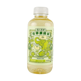 Green Apple Green Tea 17.58 fl oz