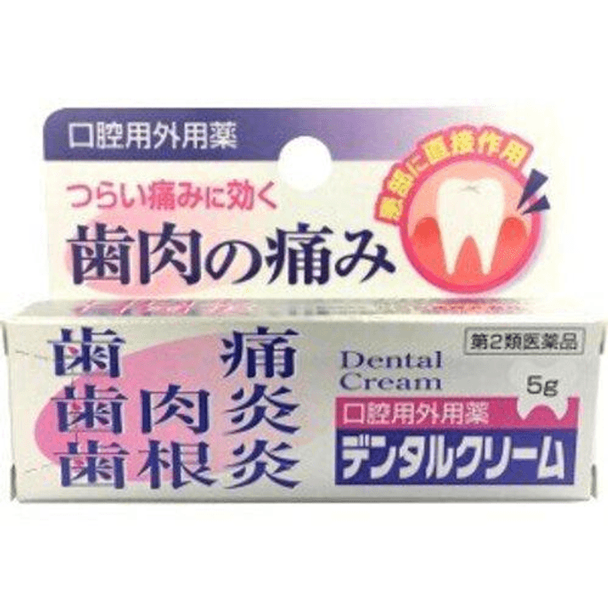 【日本直邮】 日本 ノーエチ薬品 牙痛牙龈痛软膏 [5克]