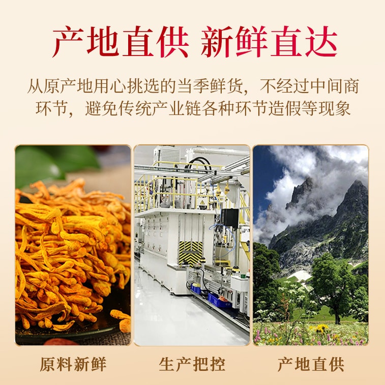 ジュンヤン冬虫夏草の花、新鮮な季節の商品、乾燥冬虫夏草、手摘み、天然硫黄フリー、スープや鍋に最適な栄養豊富なキノコ、腎臓と陽を元気にし、睡眠を改善し、免疫力を高めます、50g 7