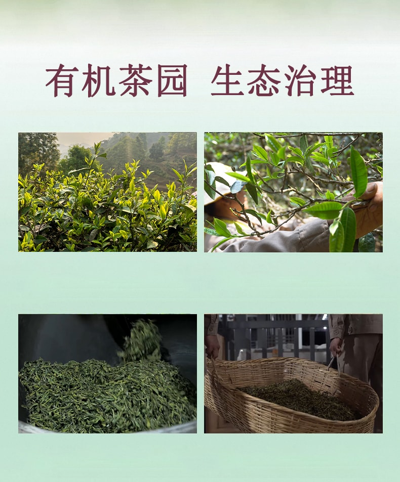 天養益 有機白茶 四國有機認證 鮮爽 毫香 清潤 抗氧化 自飲 送禮 散茶 50g