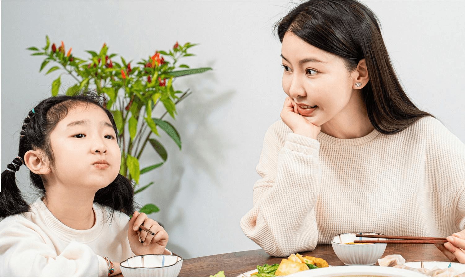 【中國直郵】 百食香 餃子包子餛飩餡餅專用餡料調味汁300克*1瓶