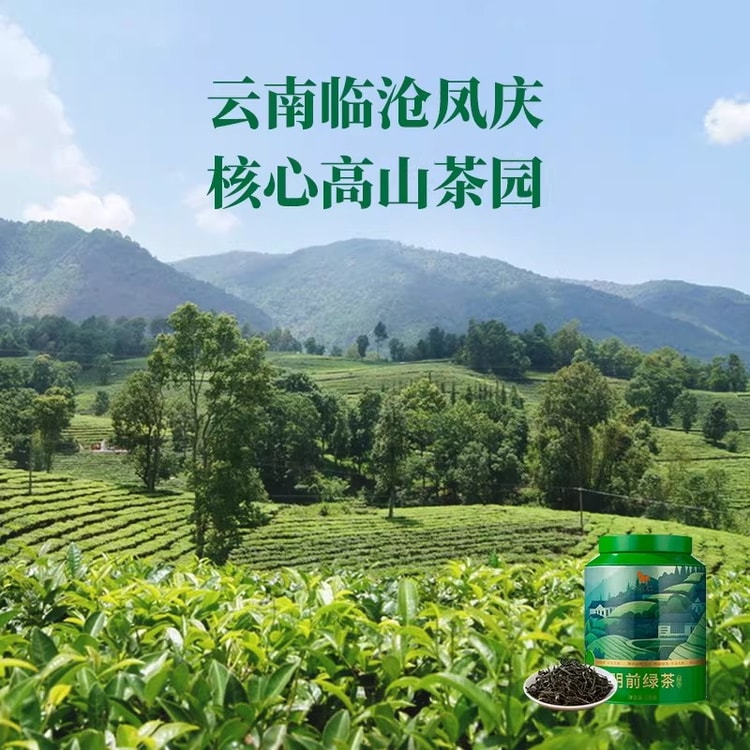 中国直送】巴馬茶業 清明節前緑茶、2026年新茶、在庫あり、180g/缶