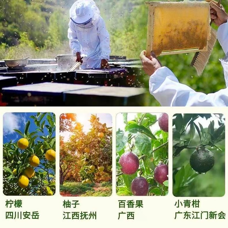 Beekeeping Mother Fruit Honey 36g*4 Bottles - Yami.com