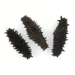 Dried Sea Cucumber   8 oz