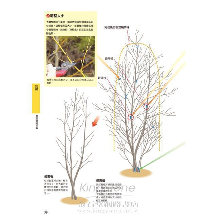 繁體 庭園花木修剪對了就會長得旺 亚米