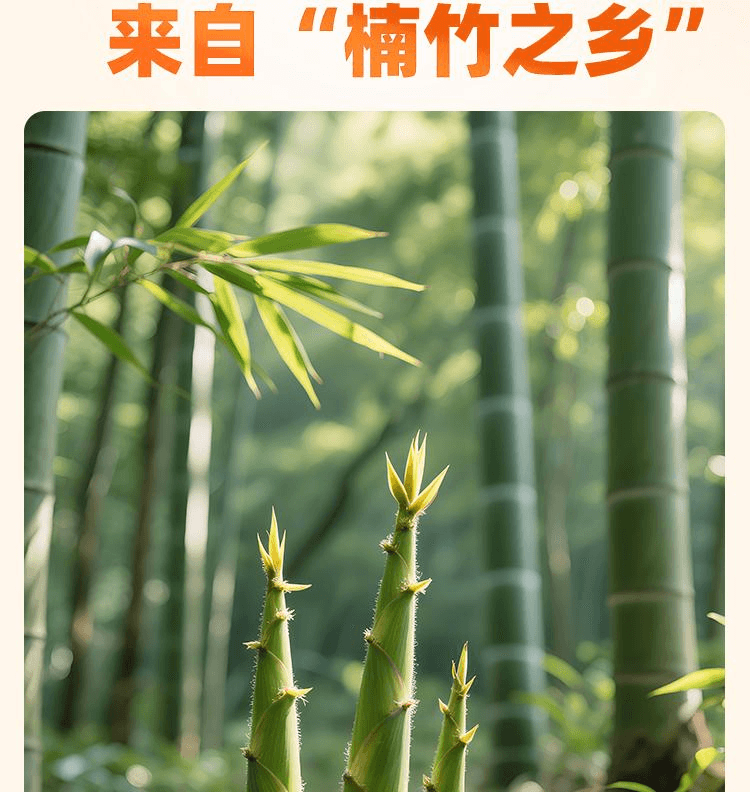 【中国直邮】 小味儿 湖南农家下饭菜自制特产新鲜嫩笋干笋子酸菜香辣笋丝280g*1瓶